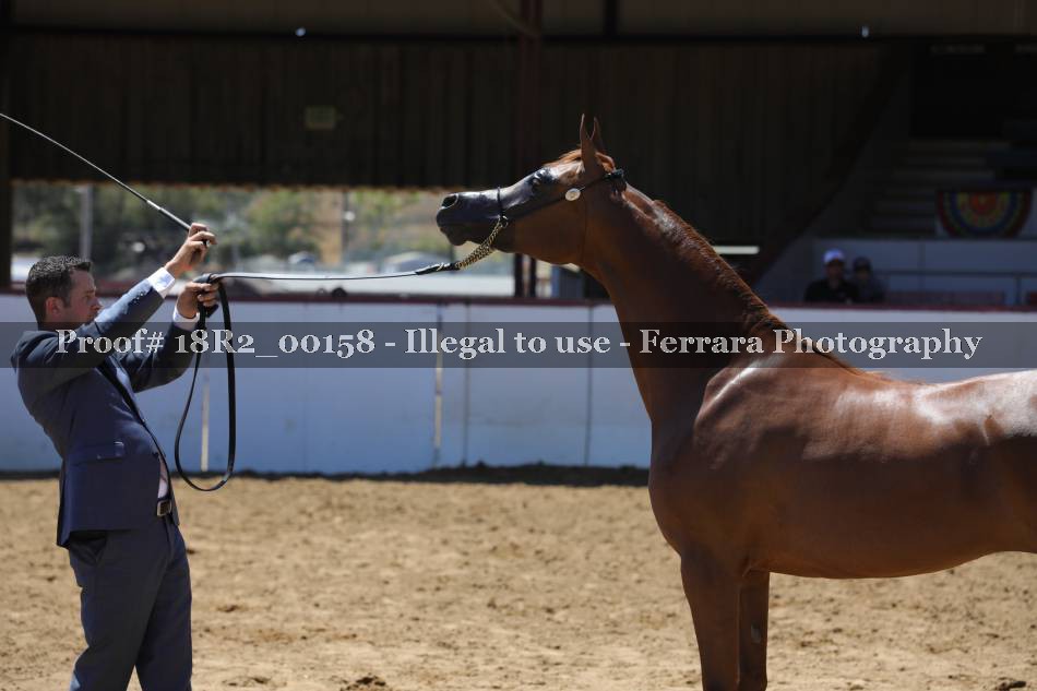 Proof 18R2_00158