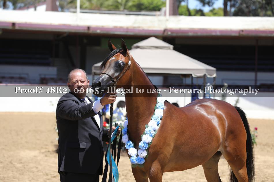 Proof 18R2_00165