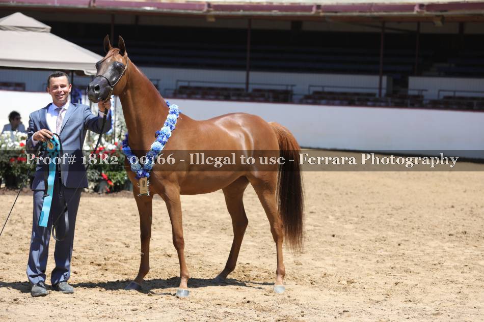 Proof 18R2_00166