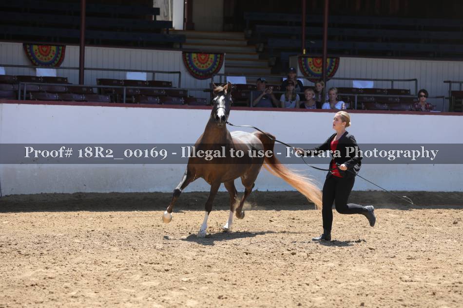 Proof 18R2_00169
