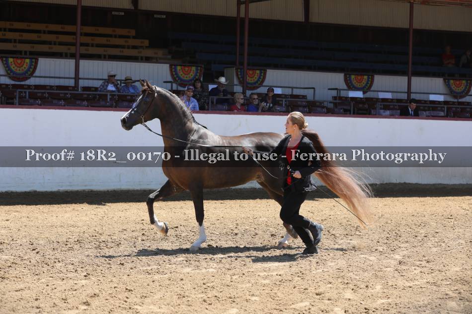 Proof 18R2_00170