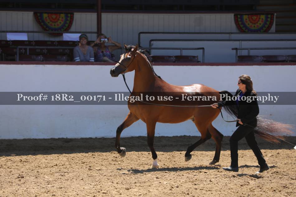 Proof 18R2_00171