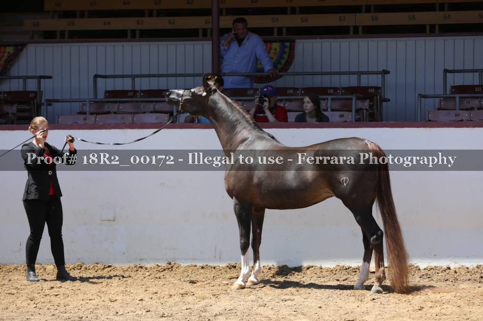 Proof 18R2_00172