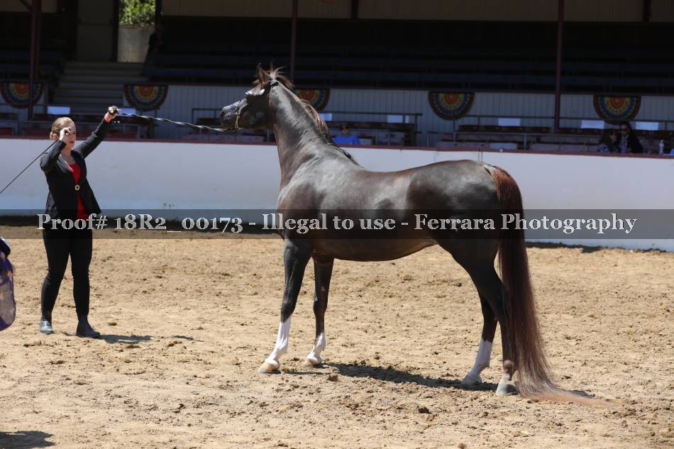 Proof 18R2_00173
