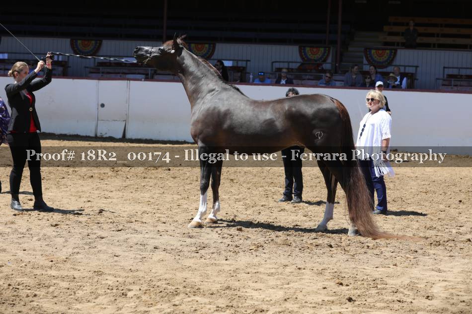 Proof 18R2_00174