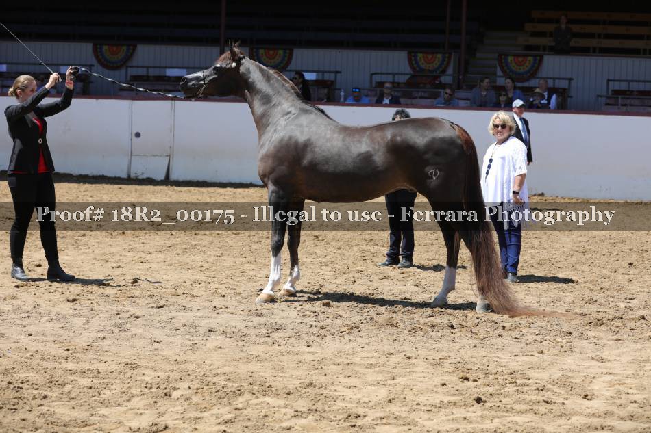 Proof 18R2_00175