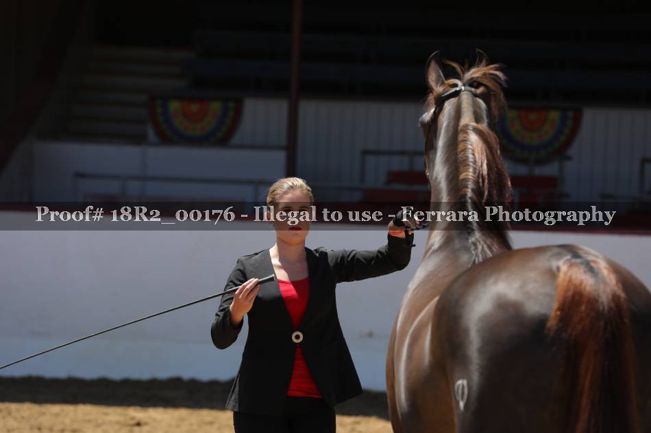 Proof 18R2_00176