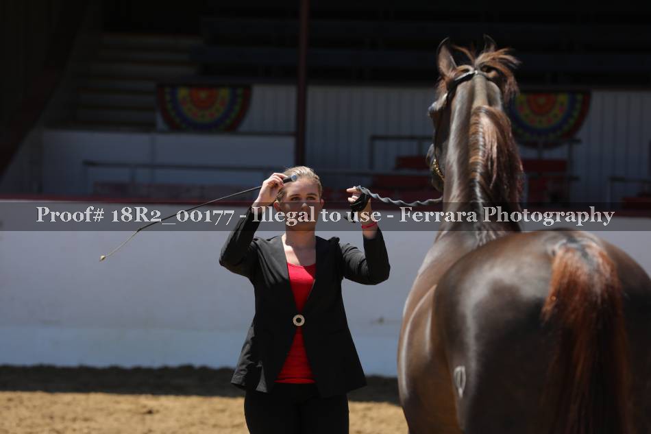 Proof 18R2_00177