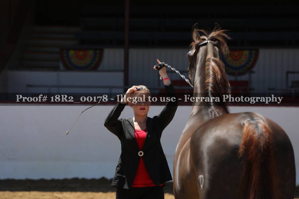 Proof 18R2_00178