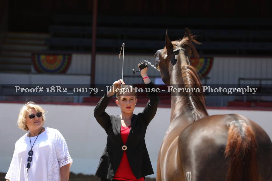 Proof 18R2_00179