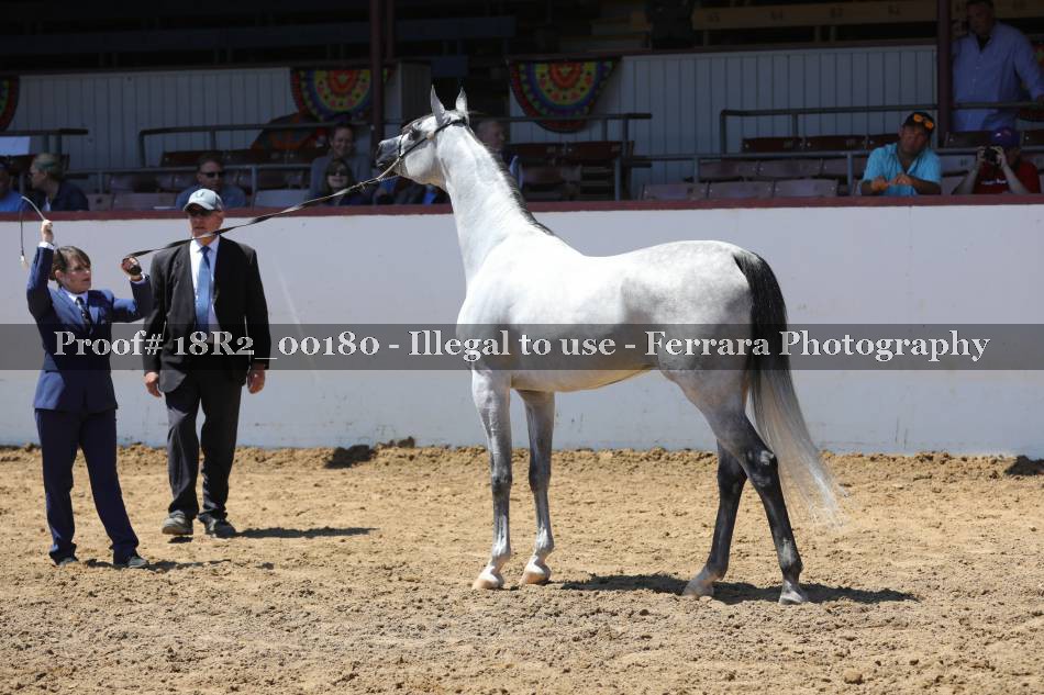 Proof 18R2_00180