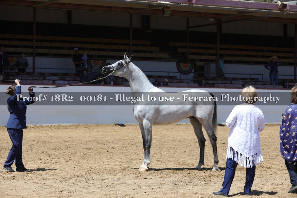 Proof 18R2_00181