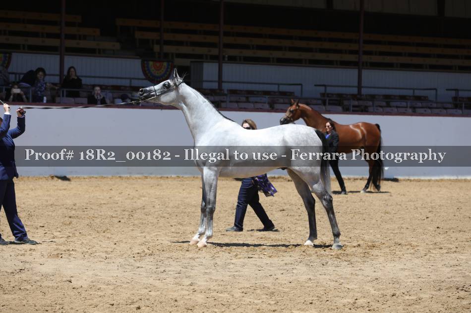 Proof 18R2_00182