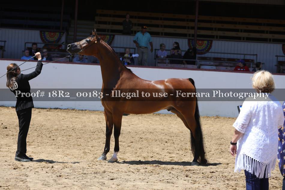 Proof 18R2_00183