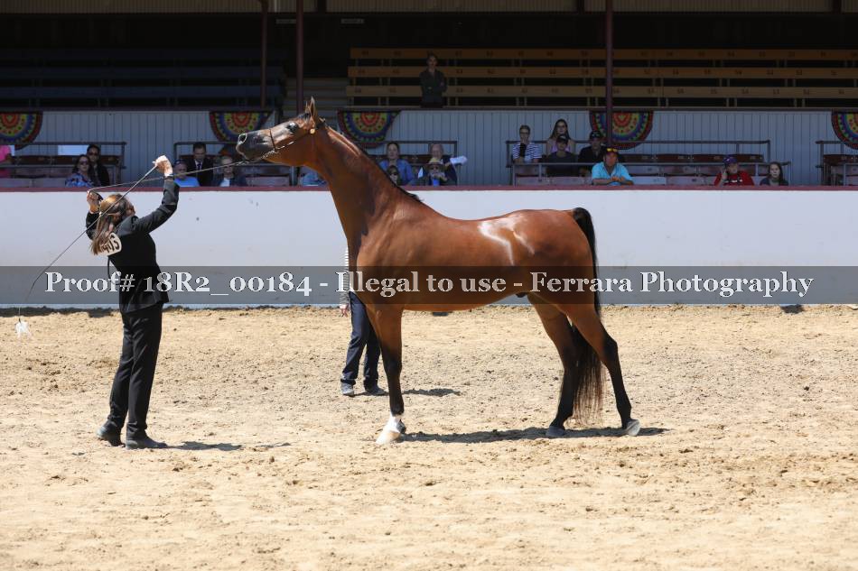 Proof 18R2_00184