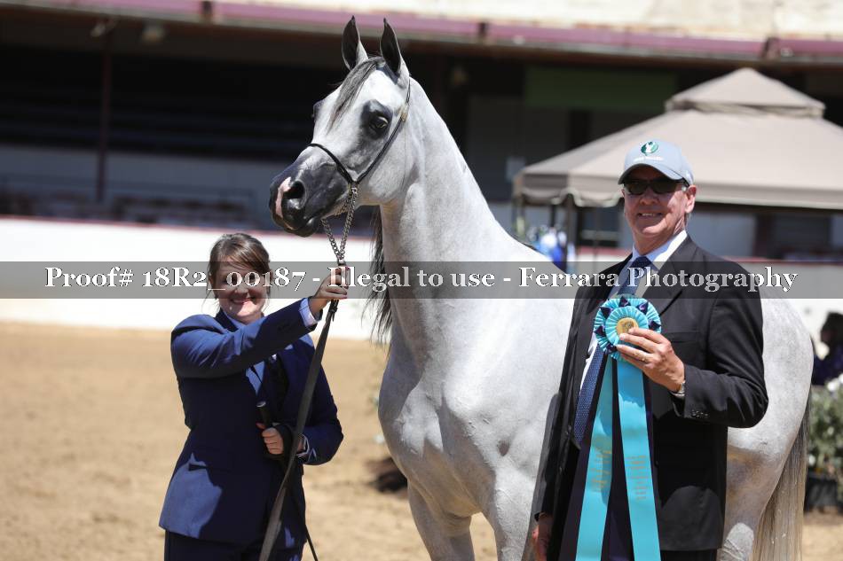 Proof 18R2_00187