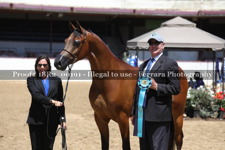 Proof 18R2_00191