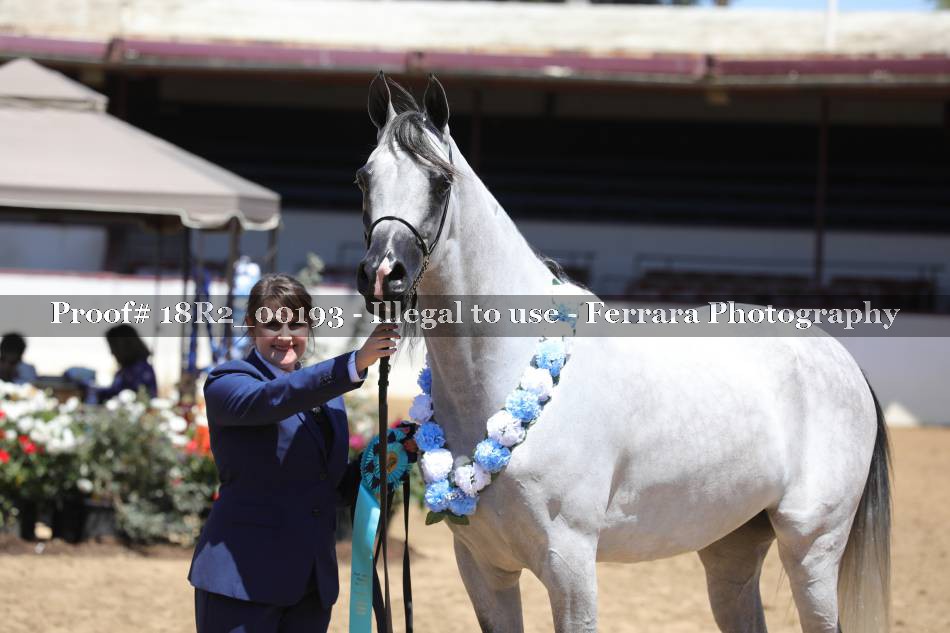 Proof 18R2_00193