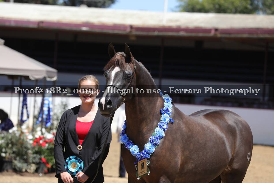 Proof 18R2_00194