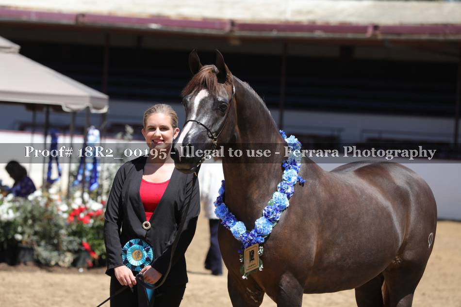 Proof 18R2_00195