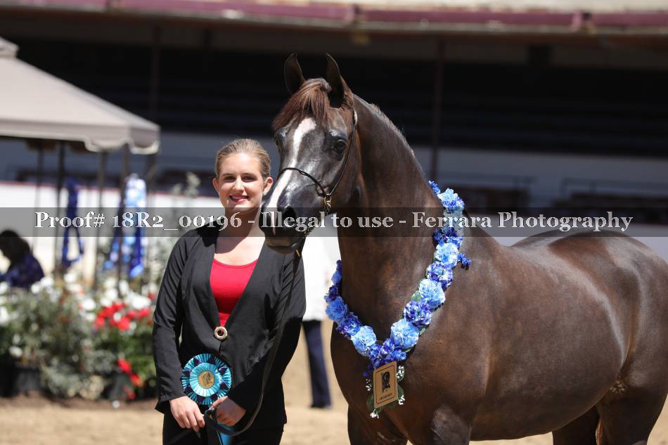 Proof 18R2_00196