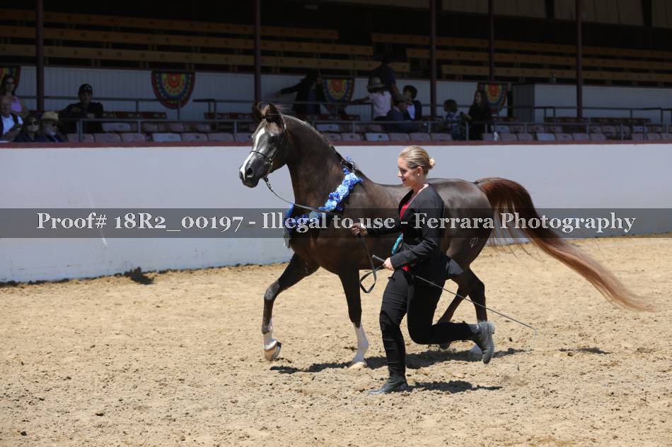 Proof 18R2_00197