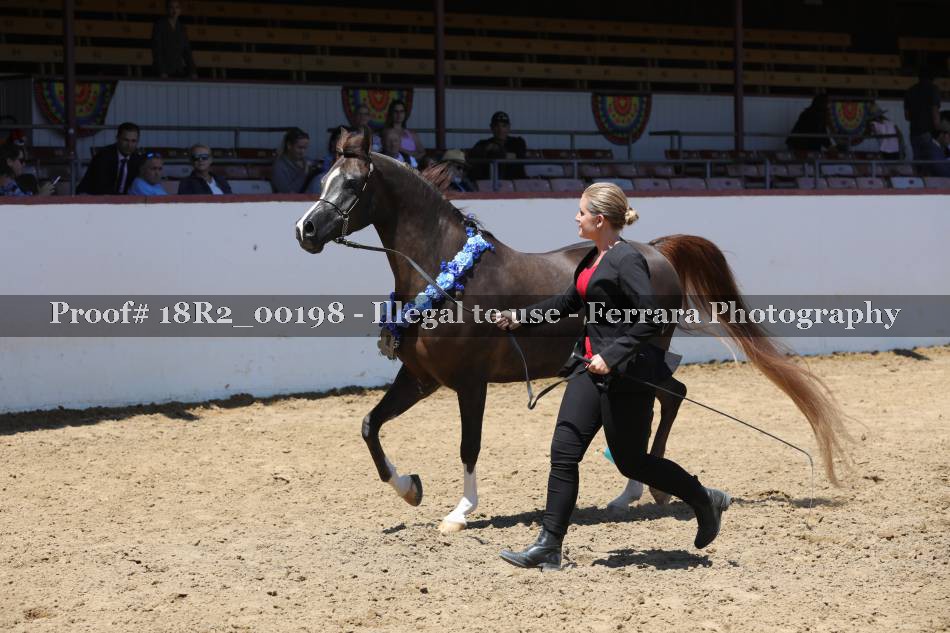 Proof 18R2_00198