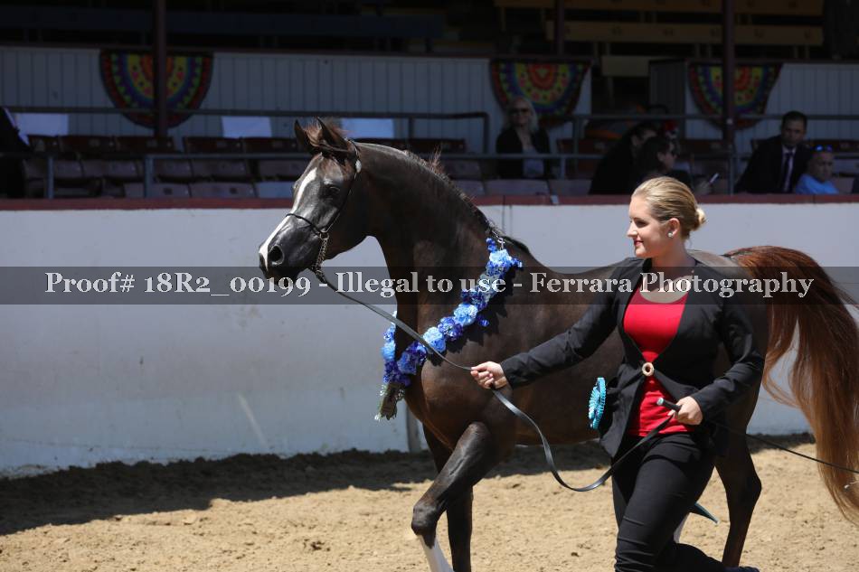 Proof 18R2_00199