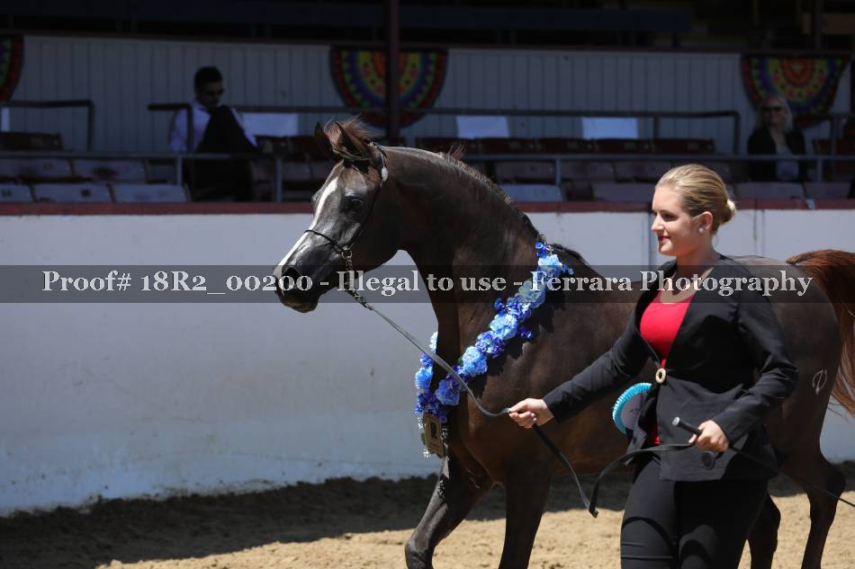Proof 18R2_00200