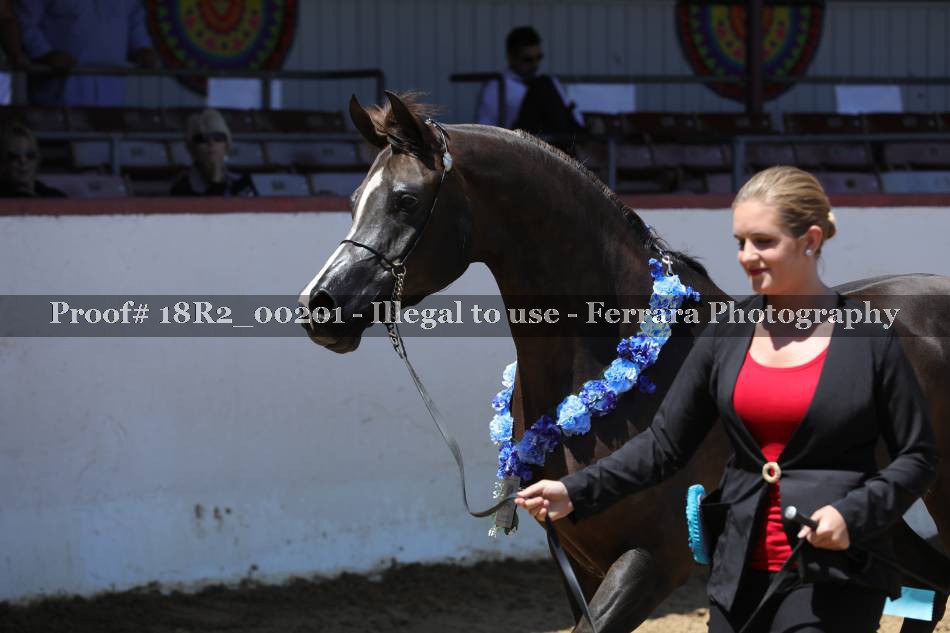 Proof 18R2_00201