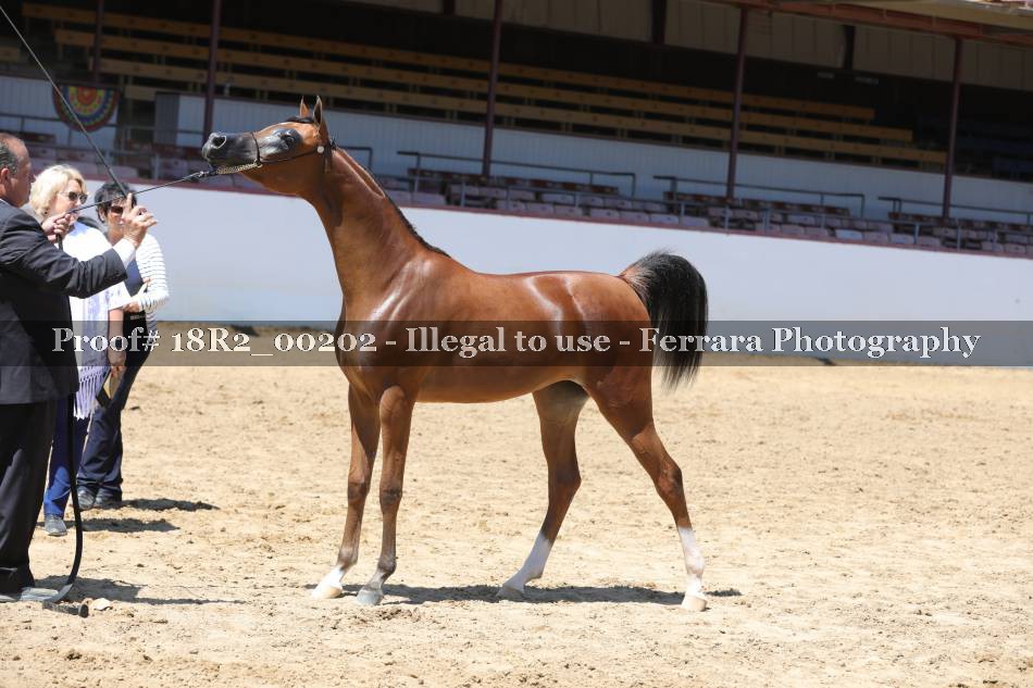 Proof 18R2_00202
