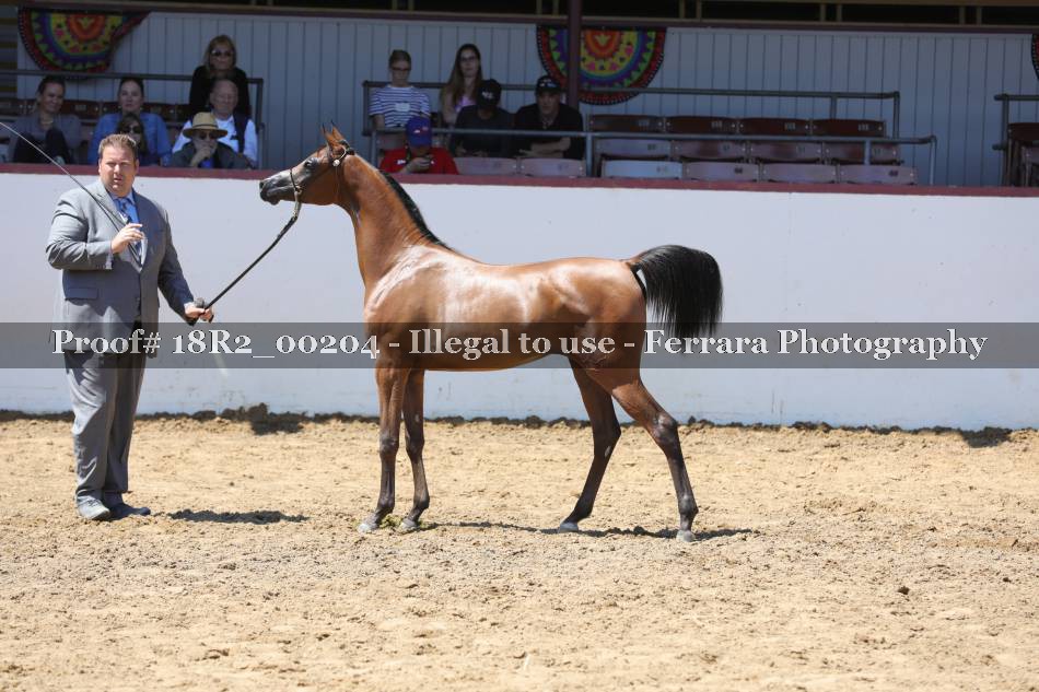 Proof 18R2_00204