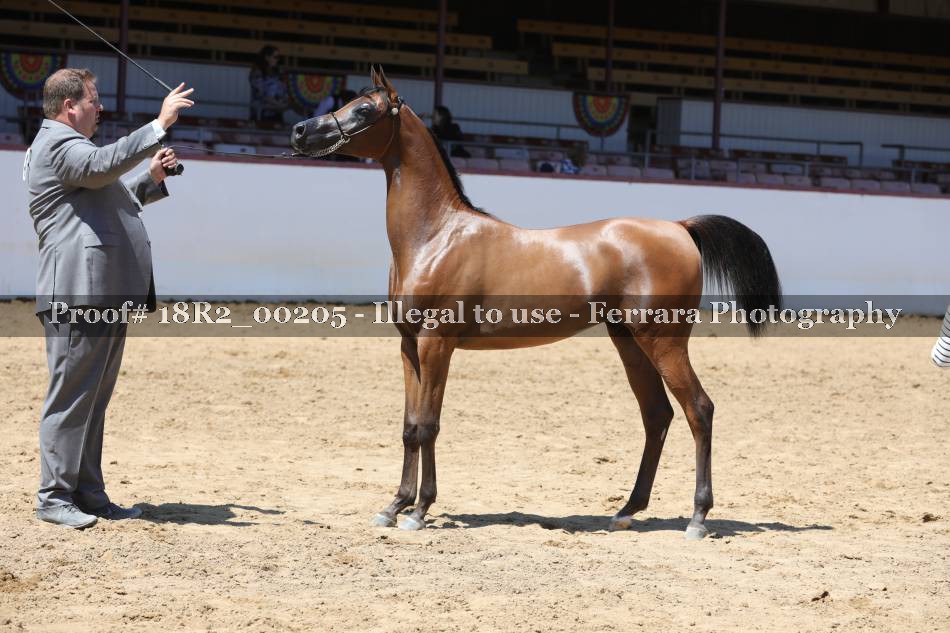 Proof 18R2_00205