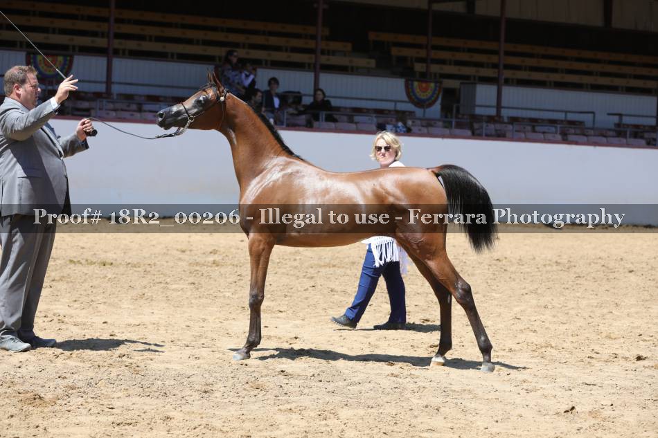 Proof 18R2_00206