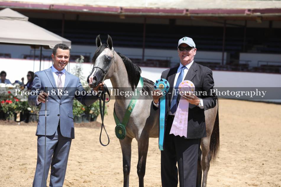 Proof 18R2_00207