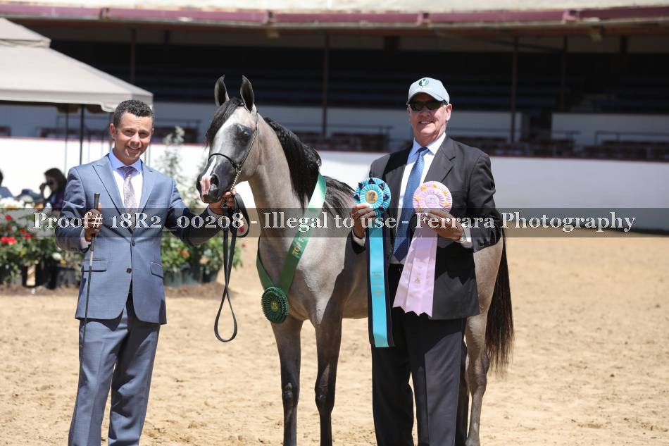 Proof 18R2_00208