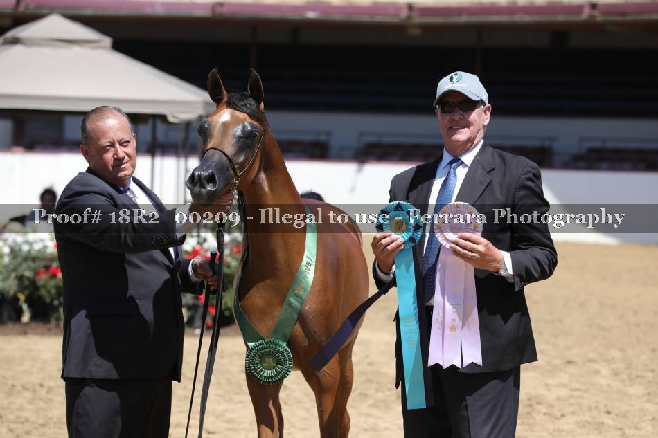 Proof 18R2_00209