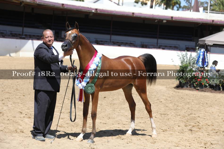 Proof 18R2_00213