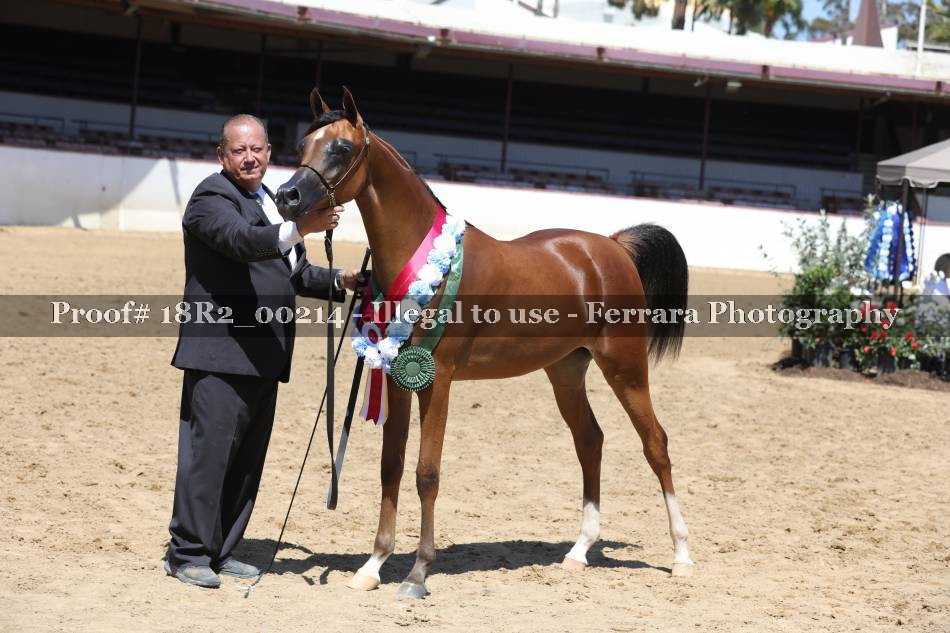 Proof 18R2_00214