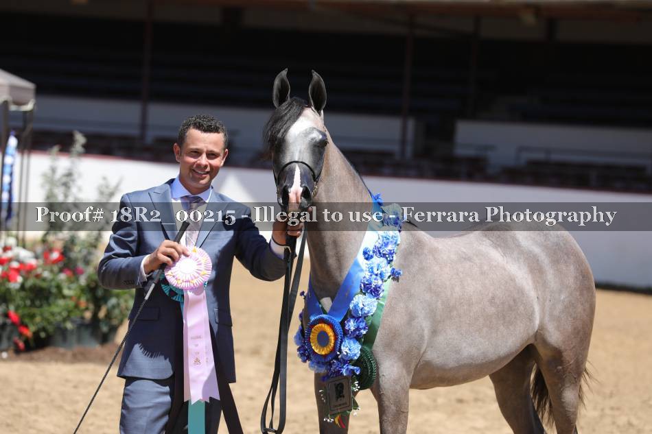 Proof 18R2_00215