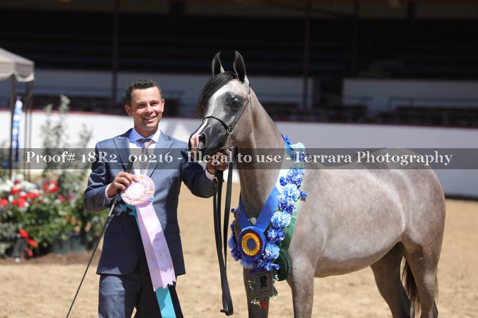 Proof 18R2_00216