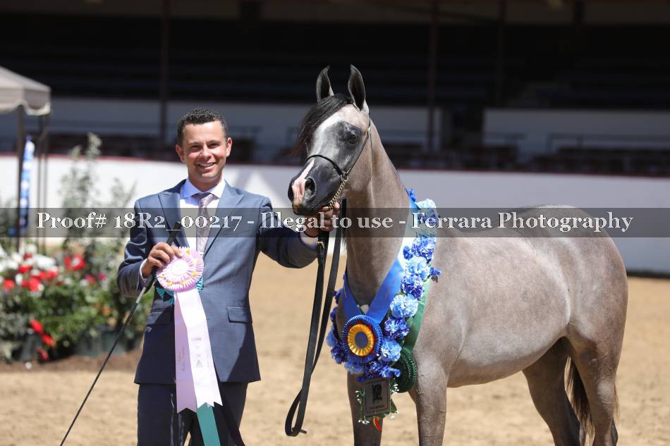 Proof 18R2_00217