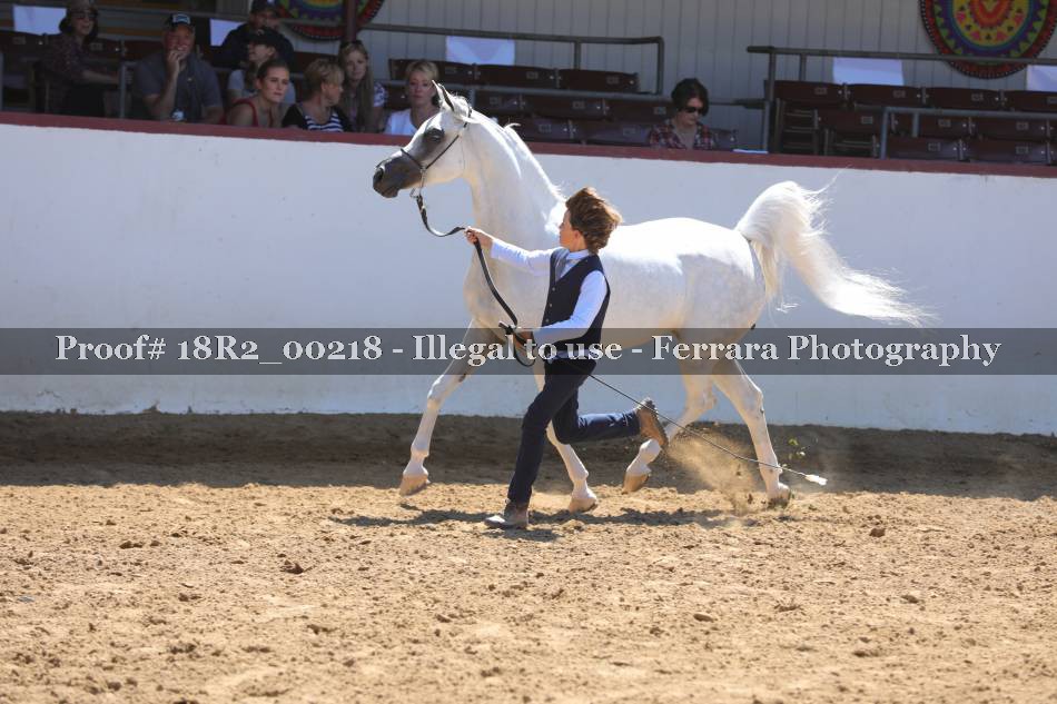 Proof 18R2_00218