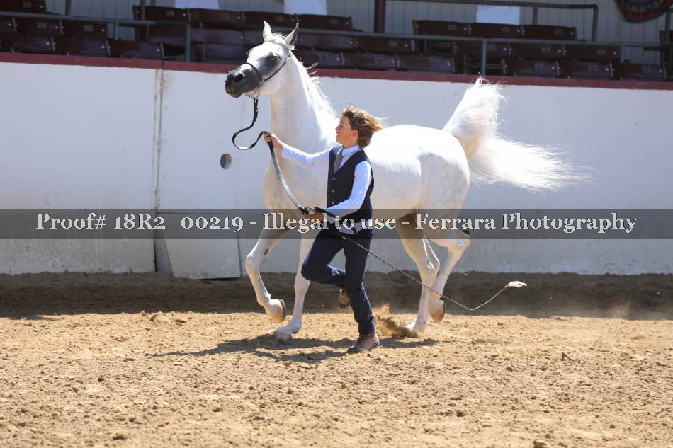 Proof 18R2_00219