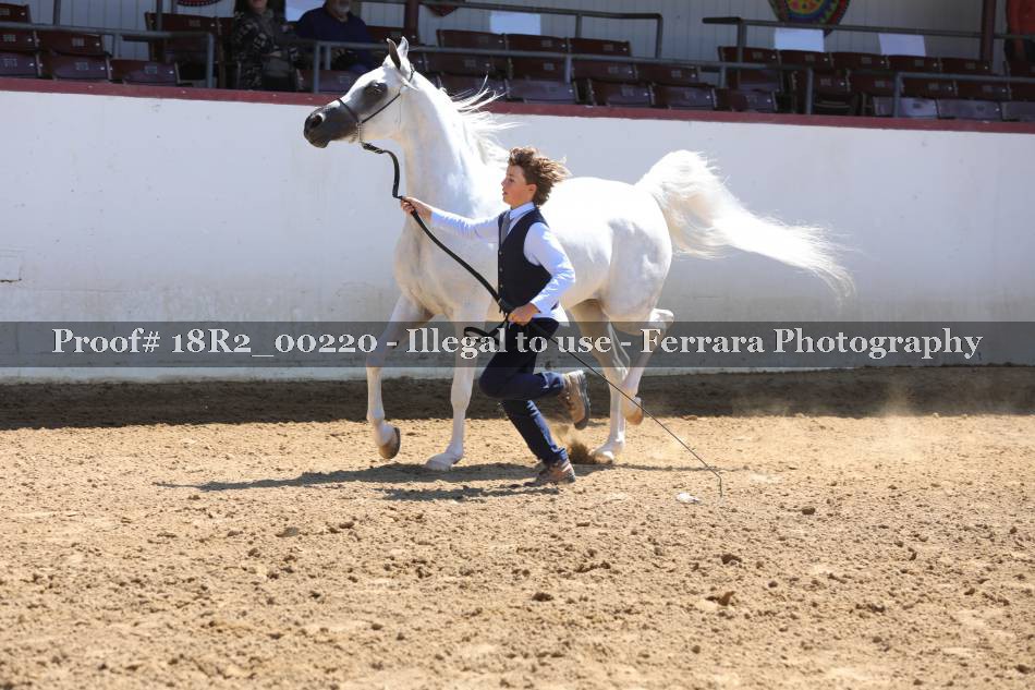 Proof 18R2_00220