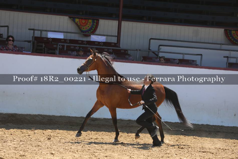 Proof 18R2_00221