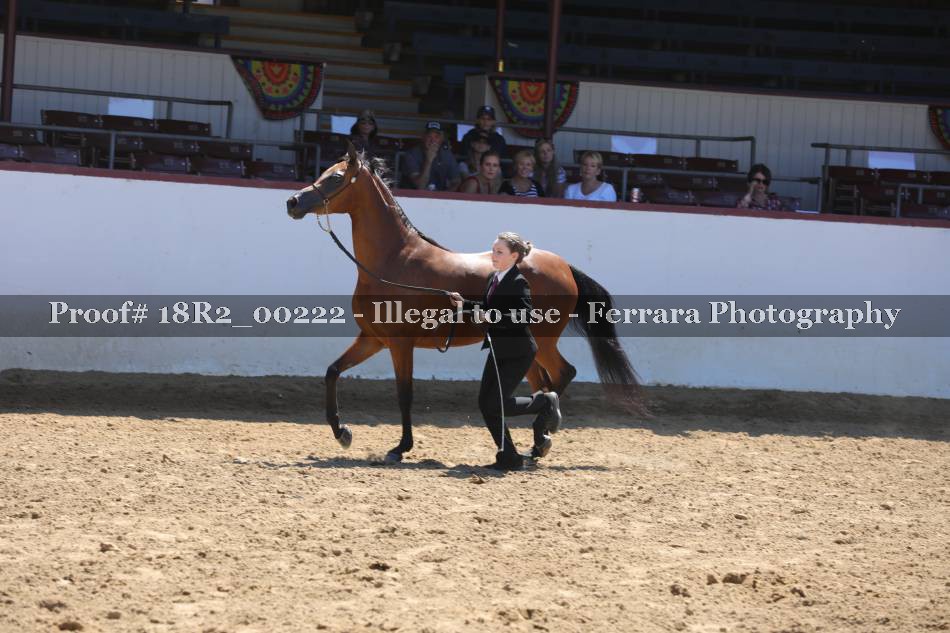 Proof 18R2_00222