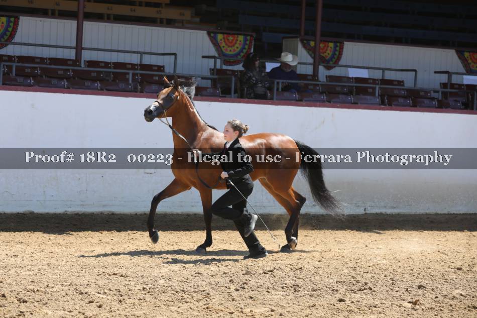 Proof 18R2_00223
