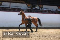 18R2_00223 proof