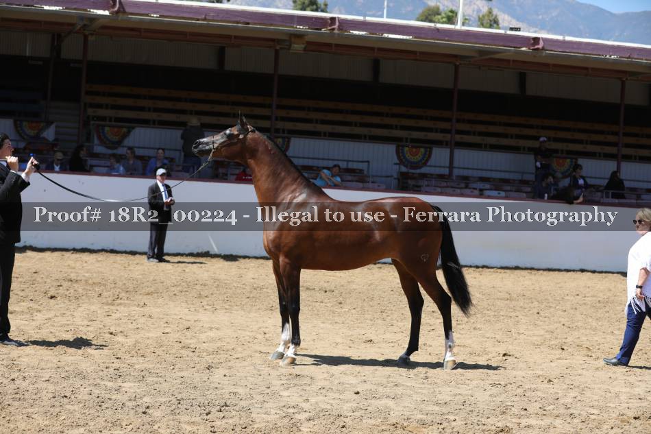 Proof 18R2_00224